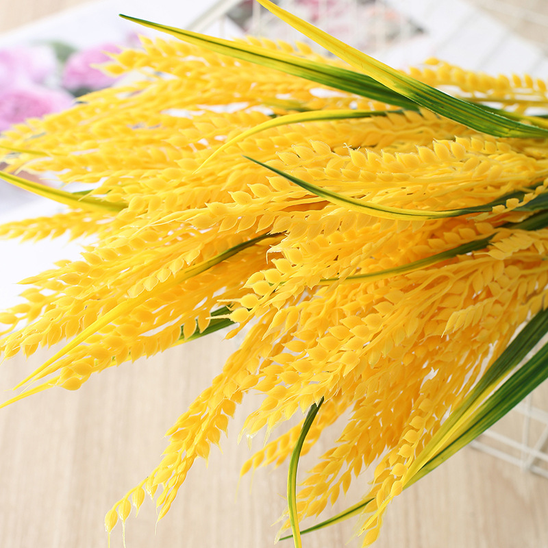 硅膠是食品級(jí)的嗎？